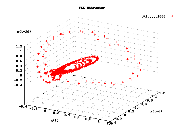 ECG Signal Attractor